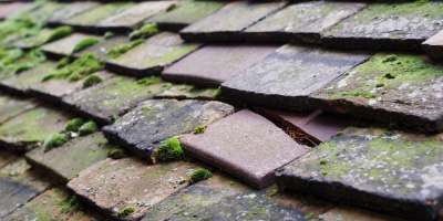 Wentworth roof repair costs